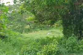 Residential Lot for Sale in Lucea