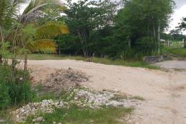 Residential Lot for Sale in Lucea