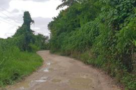 Residential Lot for Sale in Lucea