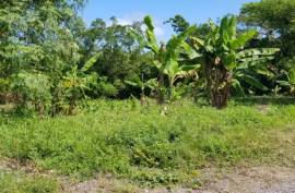 Residential Lot for Sale in Tower Isle