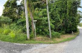 Residential Lot for Sale in Montego Bay