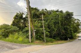 Residential Lot for Sale in Montego Bay