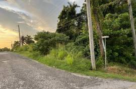 Residential Lot for Sale in Montego Bay