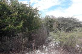 Residential Lot for Sale in Greater Portmore