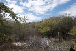 Residential Lot for Sale in Greater Portmore