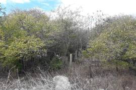 Residential Lot for Sale in Greater Portmore