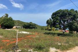 Residential Lot for Sale in Southfield