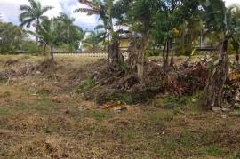 Residential Lot for Sale in Mandeville