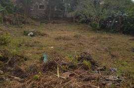 Residential Lot for Sale in Mandeville