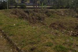 Residential Lot for Sale in Mandeville