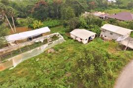 Residential Lot for Sale in Mandeville