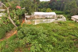 Residential Lot for Sale in Mandeville