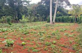 Residential Lot for Sale in Mandeville