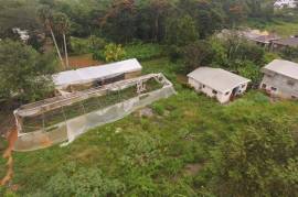 Residential Lot for Sale in Mandeville