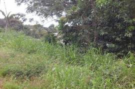 Residential Lot for Sale in Tower Isle