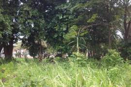 Residential Lot for Sale in Tower Isle