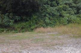 Residential Lot for Sale in Tower Isle