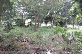 Residential Lot for Sale in Tower Isle