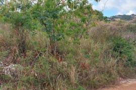 Residential Lot for Sale in Kingston 20