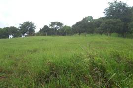 Residential Lot for Sale in Malvern