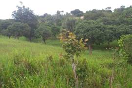 Residential Lot for Sale in Malvern