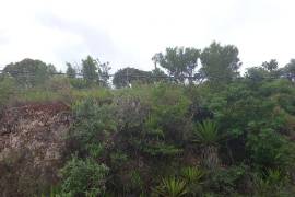 Residential Lot for Sale in Malvern