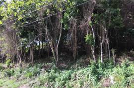 Residential Lot for Sale in Mandeville