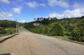 Residential Lot for Sale in Mandeville