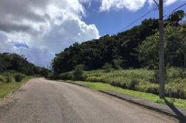 Residential Lot for Sale in Mandeville