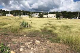 Residential Lot for Sale in White House WD