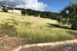 Residential Lot for Sale in White House WD