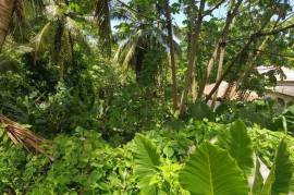 Residential Lot for Sale in Port Antonio