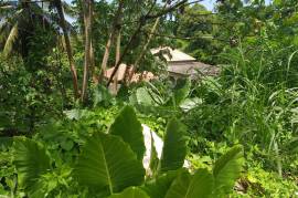 Residential Lot for Sale in Port Antonio