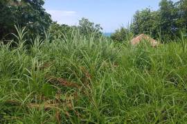 Residential Lot for Sale in Port Antonio