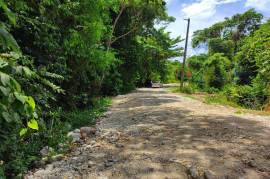 Residential Lot for Sale in Runaway Bay