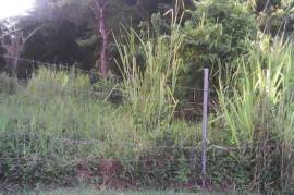 Residential Lot for Sale in St. Ann's Bay