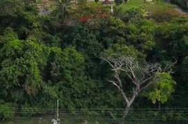 Residential Lot for Sale in Montego Bay