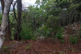 Residential Lot for Sale in Kingston 9