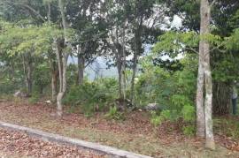 Residential Lot for Sale in Kingston 9