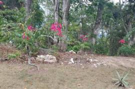 Residential Lot for Sale in Kingston 9