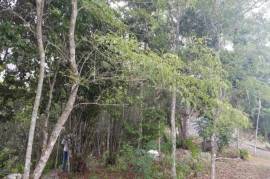 Residential Lot for Sale in Kingston 9