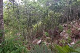 Residential Lot for Sale in Kingston 9