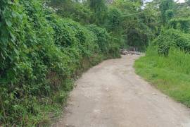 Residential Lot for Sale in Lucea