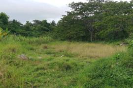 Residential Lot for Sale in Lucea