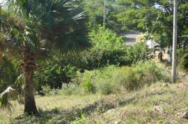 Residential Lot for Sale in White House WD