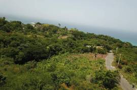 Residential Lot for Sale in White House WD