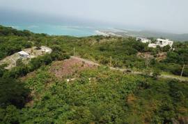 Residential Lot for Sale in White House WD