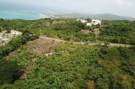 Residential Lot for Sale in White House WD