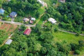 Residential Lot for Sale in Mandeville