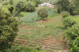 Residential Lot for Sale in Mandeville